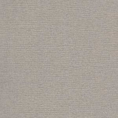 Ковролин Radici Nexus Perla 8209 фото 1 | FLOORDEALER